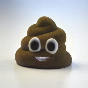 image of 3d printed emoji - mr. poo